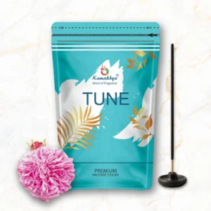 TUNE ZIPPER PACK